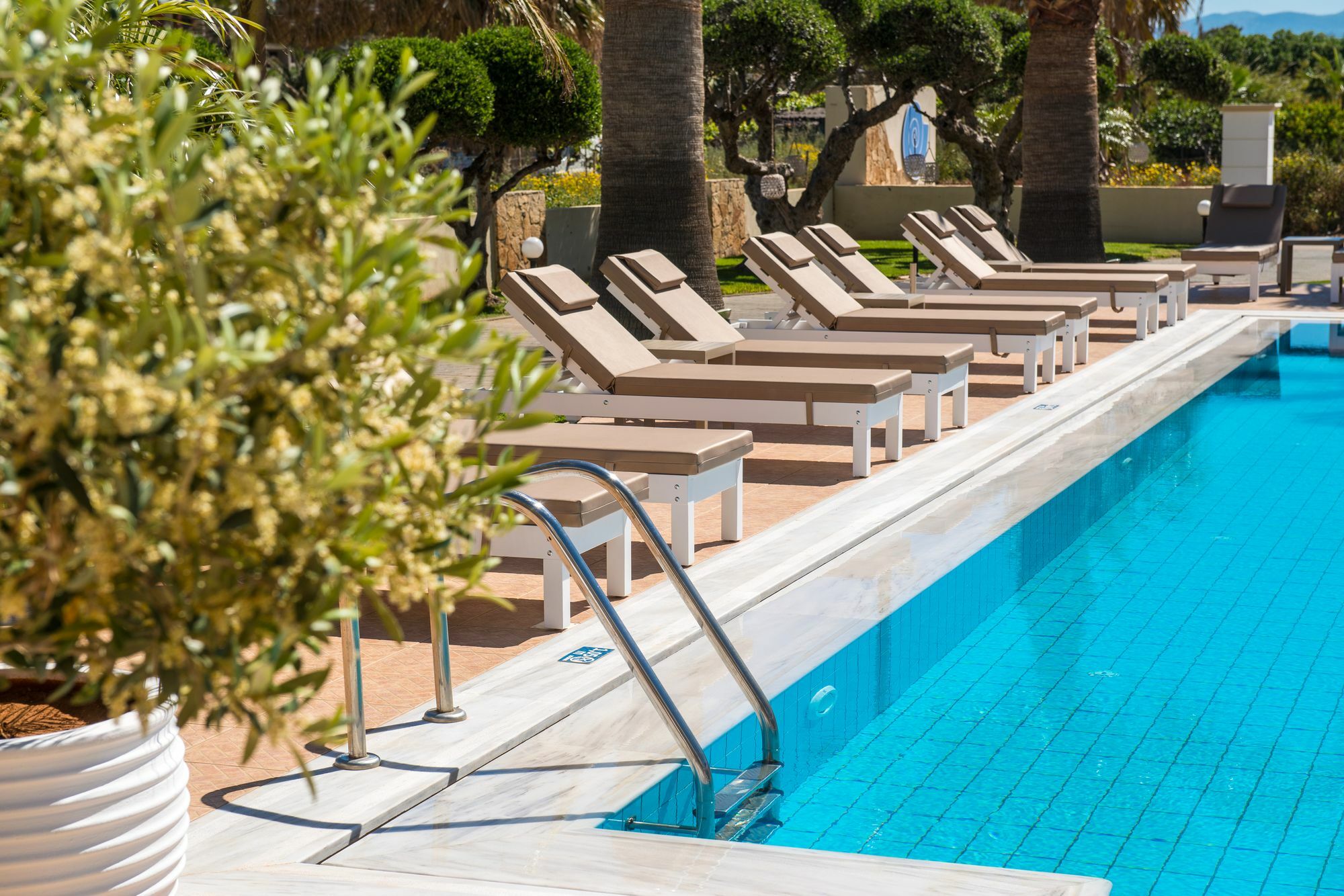 Ammos Boutique Apartments & Suites Mália Zewnętrze zdjęcie
