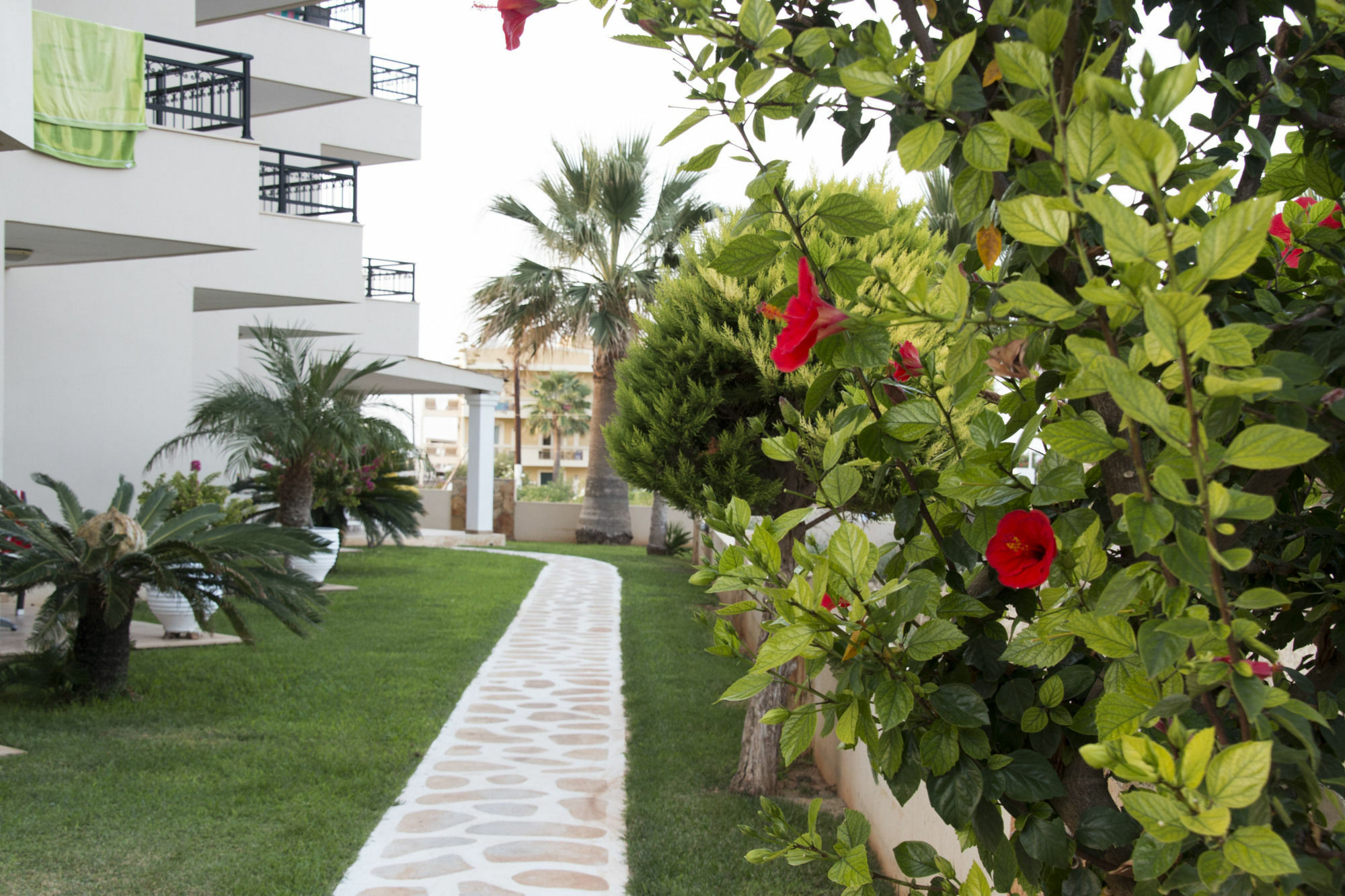 Ammos Boutique Apartments & Suites Mália Zewnętrze zdjęcie